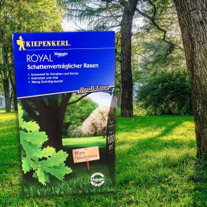 Rasensamen kaufen Kiepenkerl ROYAL Schattenrasen